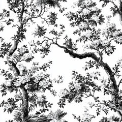 Black White Spring Toile De Jouy Pattern Clipart Bundle - CraftNest - Digital Crafting and Art