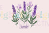 Lavender Purple Flowers Clipart Bundle
