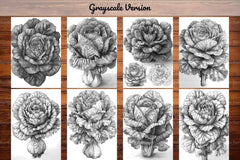 Lettuce Coloring Books - CraftNest - Digital Crafting and Art
