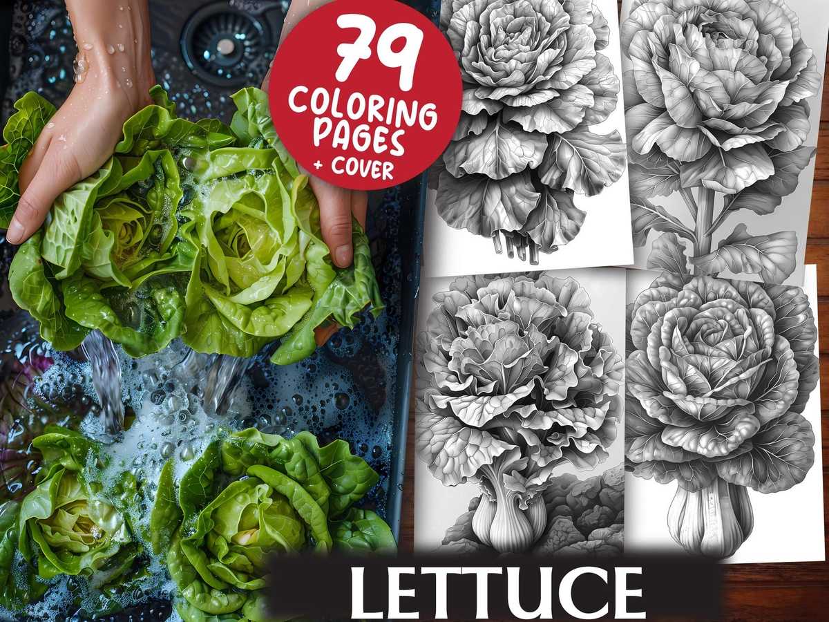 Lettuce Coloring Books - CraftNest - Digital Crafting and Art