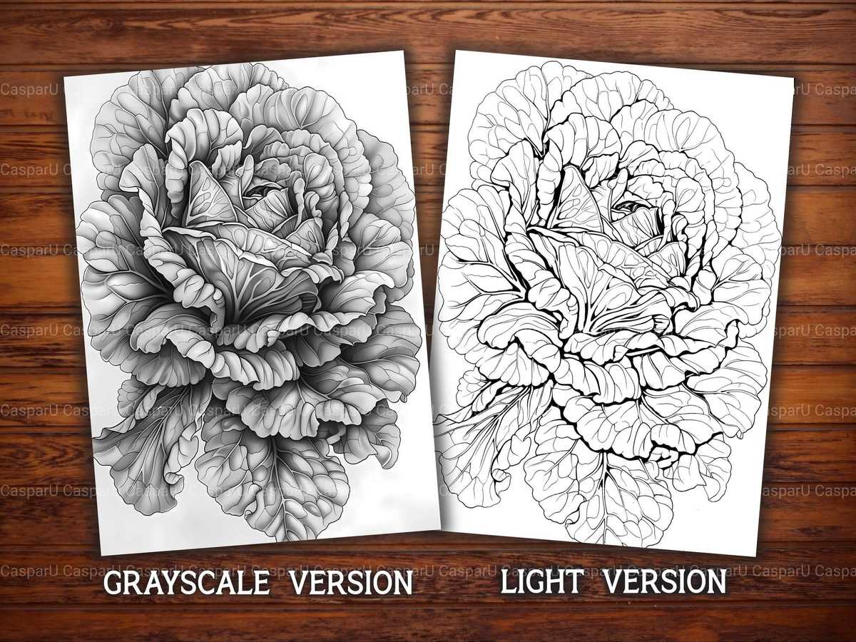Lettuce Coloring Books - CraftNest - Digital Crafting and Art
