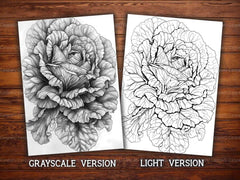 Lettuce Coloring Books - CraftNest - Digital Crafting and Art
