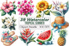 Tropical Summer Clipart Bundle