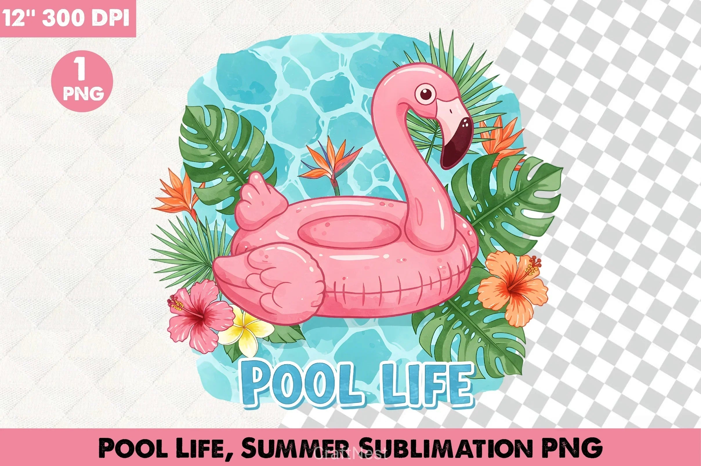 Pool Life Summer Clipart Bundle - CraftNest - Digital Crafting and Art