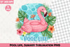 Pool Life Summer Clipart Bundle