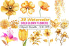 Gold Glowy Flowers Clipart Bundle