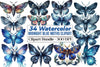 Midnight Blue Moths Clipart Bundle