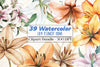 Lily Flower Boho Clipart Bundle