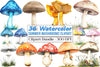 Summer Mushroom Clipart Bundle