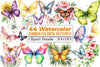 Summer Colorful Butterfly Clipart Bundle
