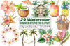 Tropical Summer Aesthetic Clipart Bundle