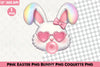 Pink Easter Bunny Clipart Bundle