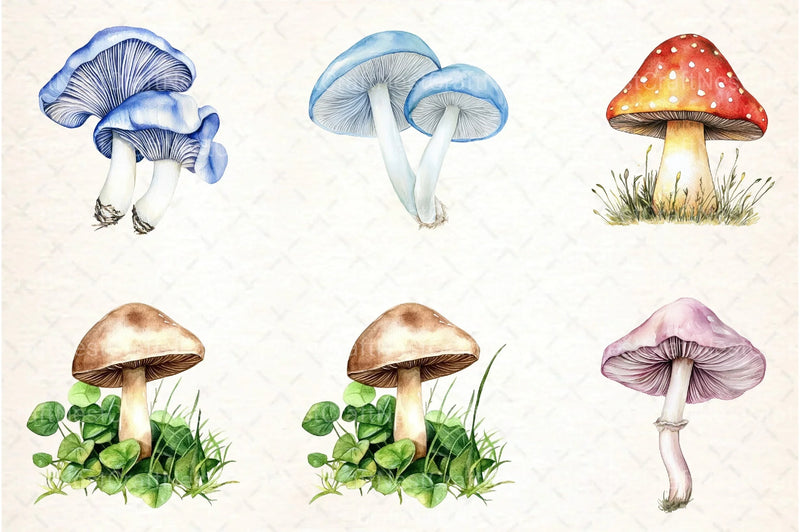 Summer Mushroom Clipart Bundle 11 - CraftNest - Digital Crafting and Art
