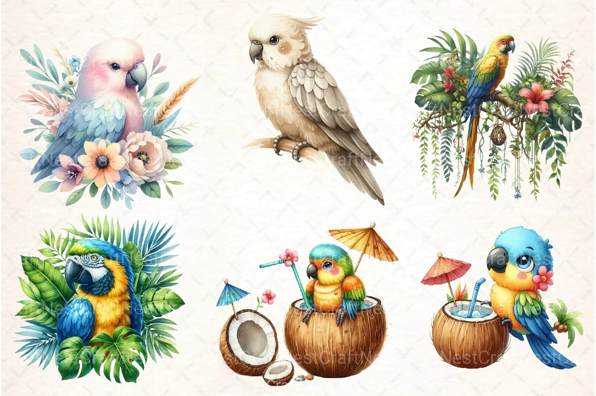 Summer Parrot Clipart Bundle 23 - CraftNest - Digital Crafting and Art