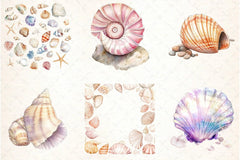 Ocean Sea Shell Clipart Bundle 55 - CraftNest - Digital Crafting and Art