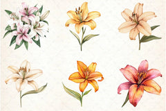 Lily Flower Boho Clipart Bundle - CraftNest - Digital Crafting and Art