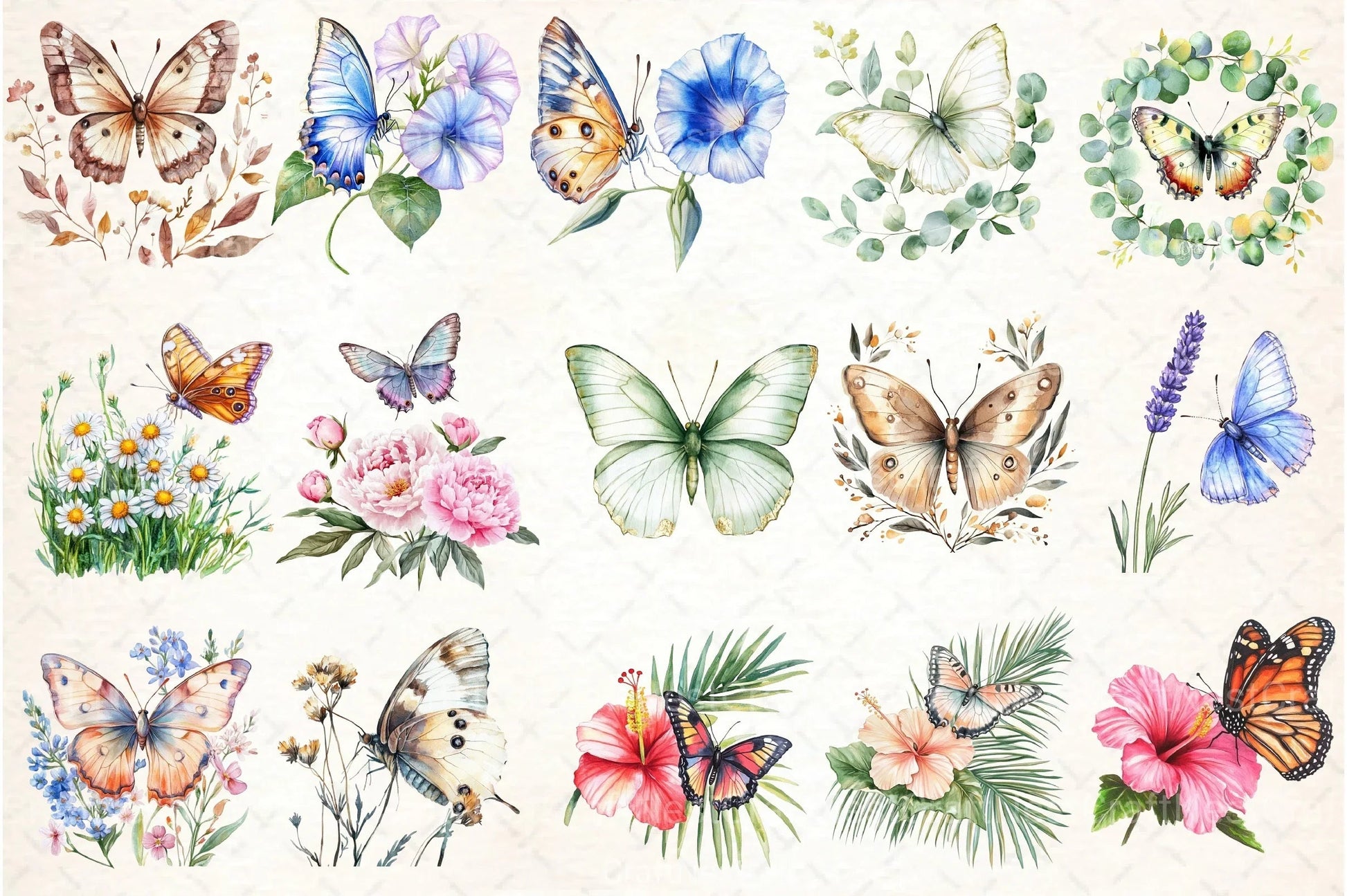 Cute Summer Butterfly & Flowers Clipart Bundle 98 - CraftNest - Digital Crafting and Art
