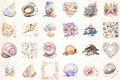 Ocean Sea Shell Clipart Bundle 55 - CraftNest - Digital Crafting and Art