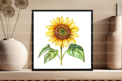 Summer Nature Walk Clipart Bundle - CraftNest - Digital Crafting and Art