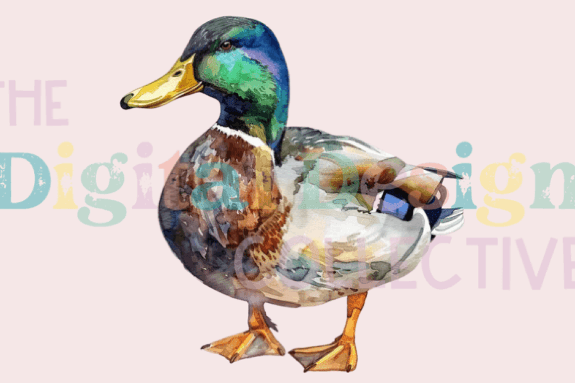 Mallard Duck Clipart Bundle - CraftNest - Digital Crafting and Art