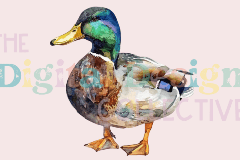 Mallard Duck Clipart Bundle - CraftNest - Digital Crafting and Art