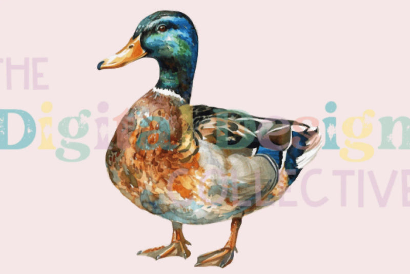 Ultimate Mallard Duck Hunting Guide Clipart Bundle - CraftNest - Digital Crafting and Art