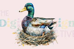Ultimate Mallard Duck Hunting Guide Clipart Bundle - CraftNest - Digital Crafting and Art
