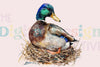 Mallard Duck Hunting Adventure Clipart Bundle