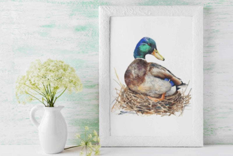 Mallard Duck Hunting Adventure Clipart Bundle - CraftNest - Digital Crafting and Art