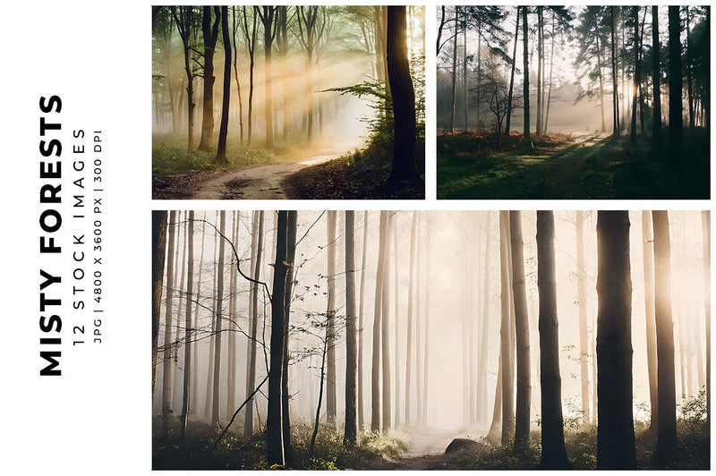 Misty Forests - Stock Images - CraftNest - Digital Crafting and Art