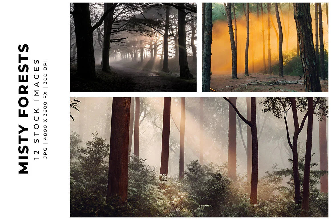 Misty Forests - Stock Images - CraftNest - Digital Crafting and Art