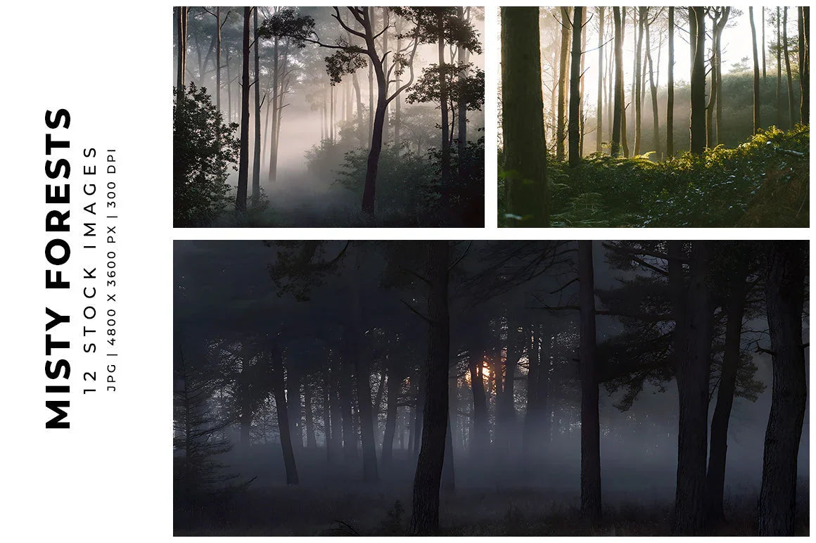 Misty Forests - Stock Images - CraftNest - Digital Crafting and Art