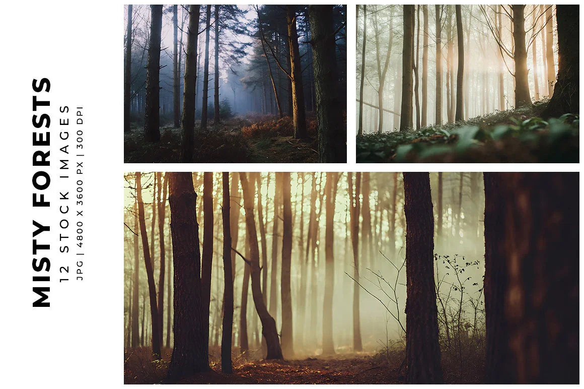 Misty Forests - Stock Images - CraftNest - Digital Crafting and Art