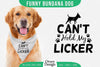 Funny Dog Bandana SVG Bundle