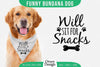 Funny Dog Bandana SVG Bundle