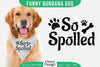 Funny Dog Bandana SVG Bundle