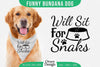 Funny Dog Bandana SVG Bundle