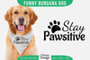 Funny Dog Bandana SVG Bundle