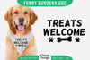 Funny Dog Bandana SVG Bundle