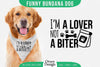 Funny Dog Bandana SVG Bundle