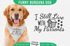 Funny Dog Bandana SVG Bundle