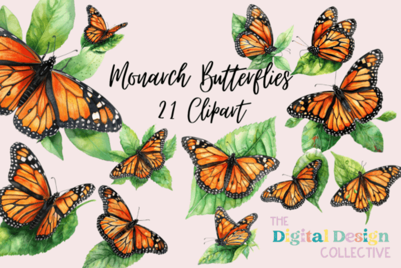 Monarch Butterfly Clipart Bundle - CraftNest - Digital Crafting and Art