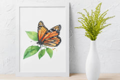 Monarch Butterfly Clipart Bundle - CraftNest - Digital Crafting and Art