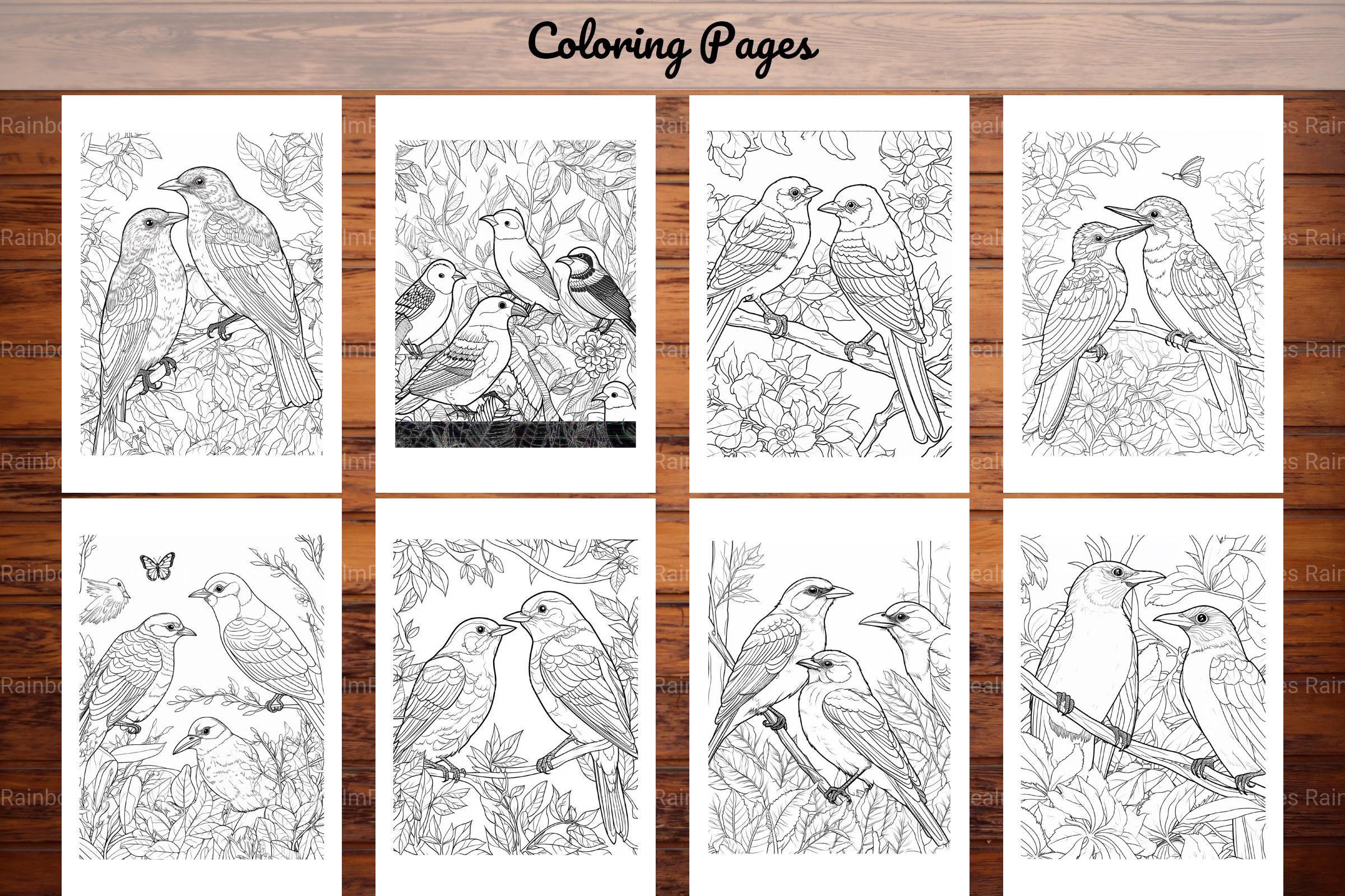 Birds Nature Coloring Book
