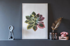 Neon Cactus & Succulent Clipart Bundle - CraftNest - Digital Crafting and Art