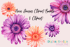 Vibrant Neon Daisies Clipart Bundle