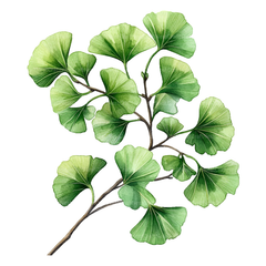 Medicinal Plants Clipart Bundle - CraftNest - Digital Crafting and Art