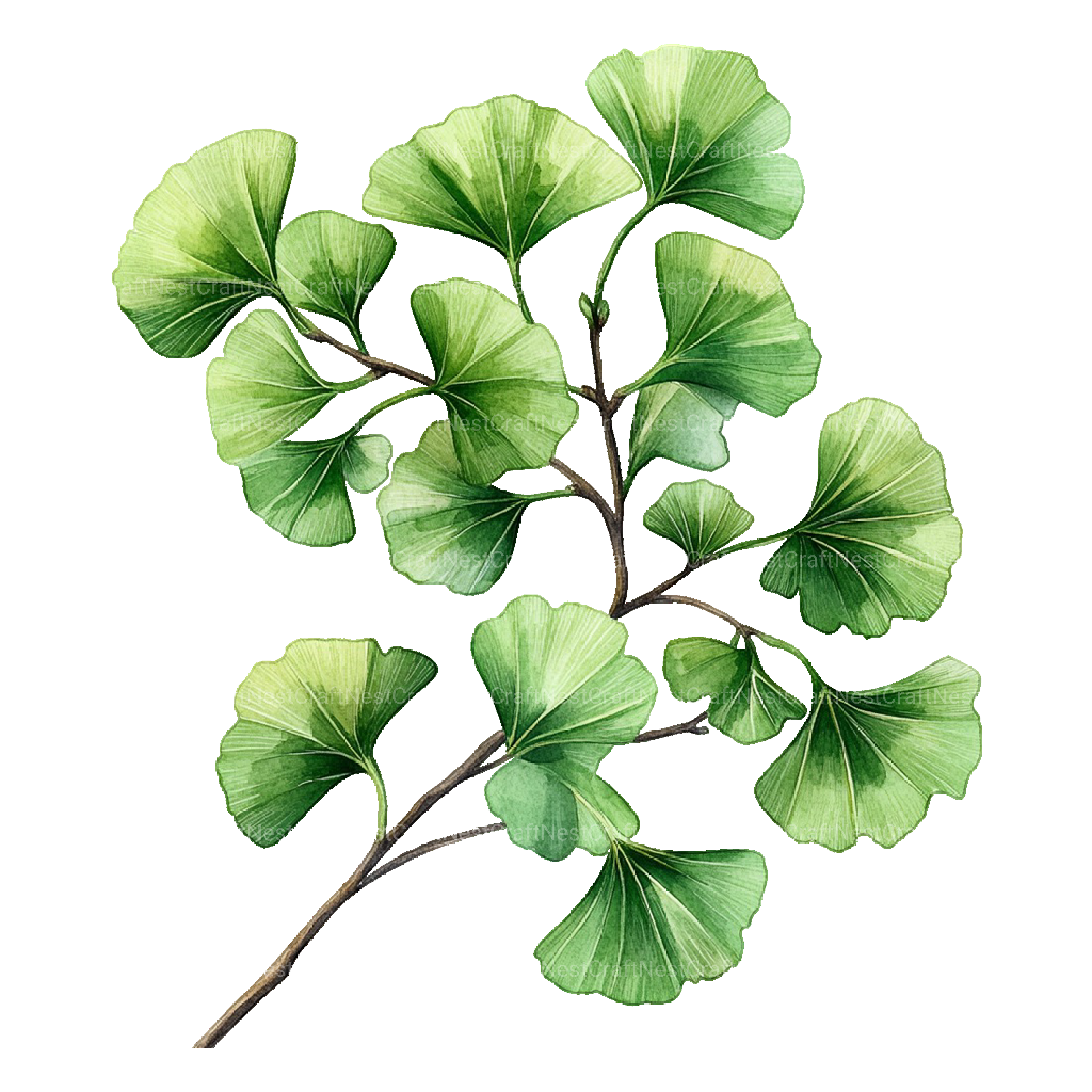 Medicinal Plants Clipart Bundle - CraftNest - Digital Crafting and Art