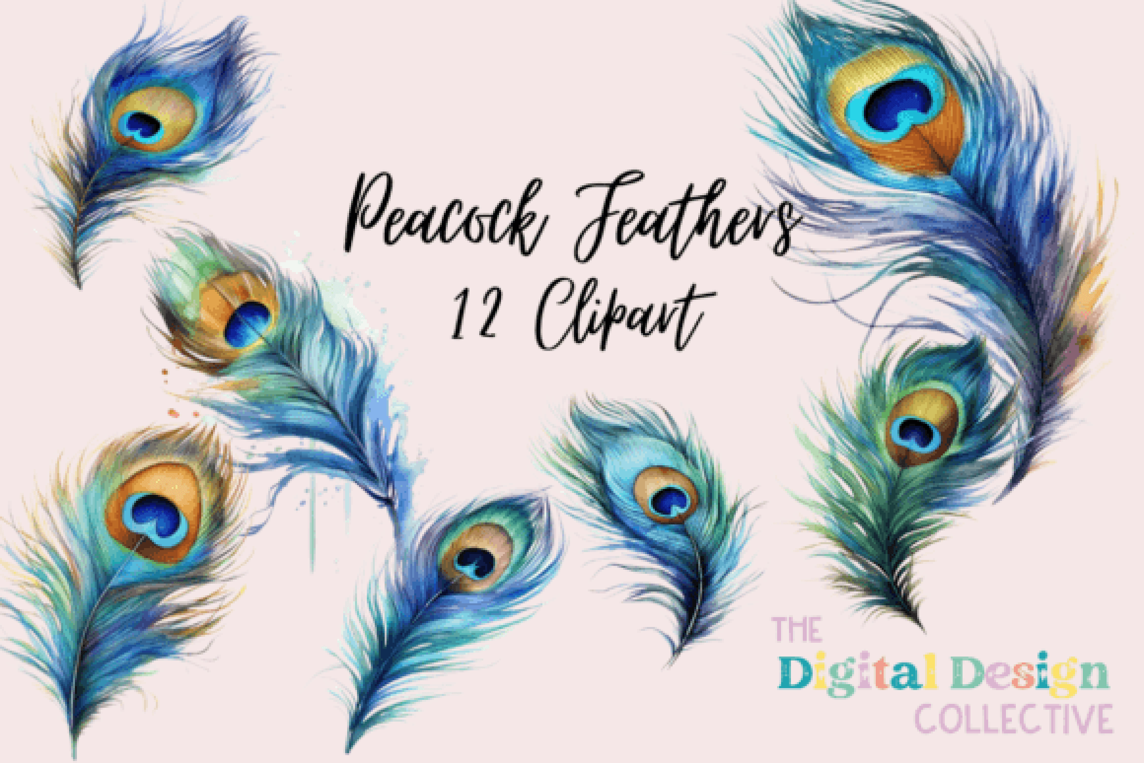 Vibrant Peacock Feathers Clipart Bundle - CraftNest - Digital Crafting and Art
