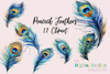 Vibrant Peacock Feathers Clipart Bundle